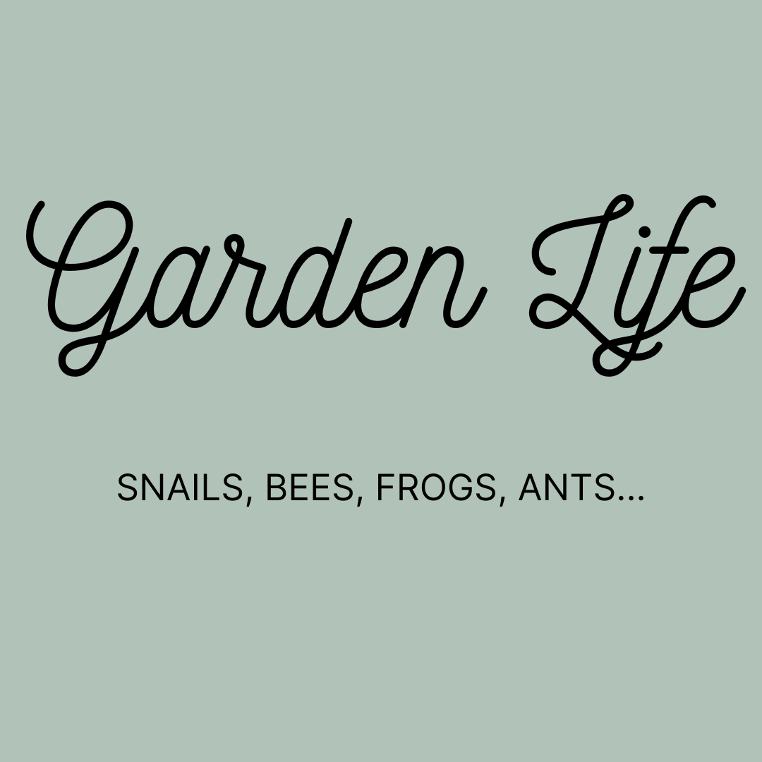 Bebemoss Garden Life Collection